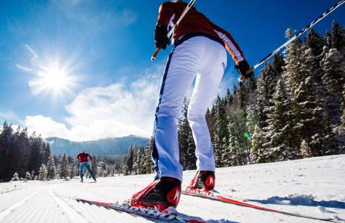 Alpenliebe Comfortable holiday residence - Foto 18