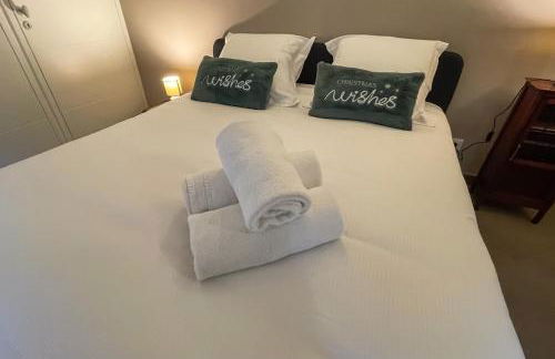 Charmant Duplex Quartier Perrache Confluence - Foto 19