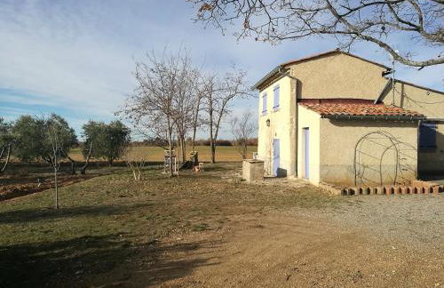 Le Bastidon de Dudule - Foto 1