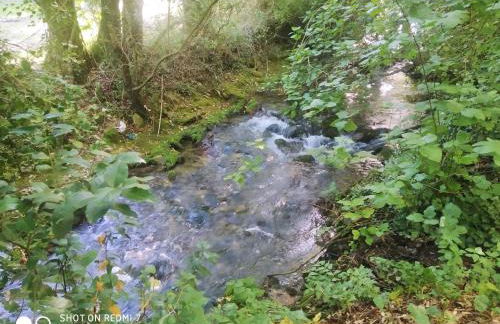 Alojamientos Sierra de Cádiz Benamahoma - Foto 50