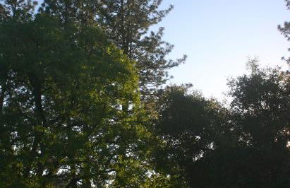 Little Red Caboose - Foto 19