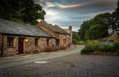 Maes Madog Cottages - Foto 54