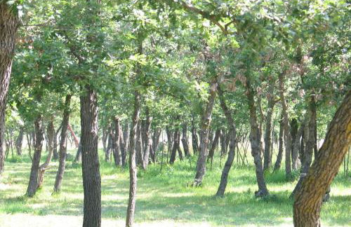 Apartment Kovacic Jurlina - Foto 20