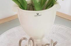 Apartment Villa Zur Altstadt Sassnitz - Foto 10