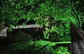 Marujada Experience Corisco Paraty - Foto 27