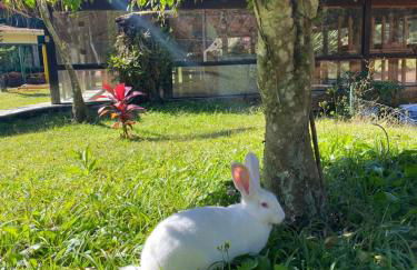 Hotel Fazenda Bonanza - Foto 43