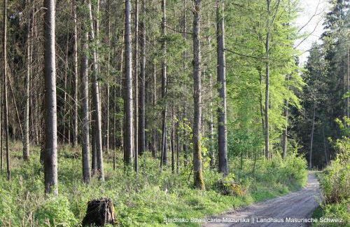 Szwajcaria Mazurska - Foto 41