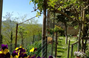 House with stunning views - Foto 12