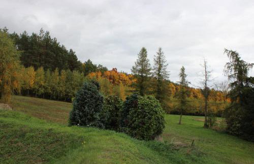 Gospodarstwo Agroturystyczne Agroletnica - Foto 125