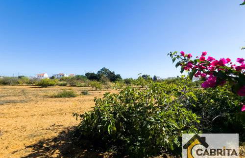 Casa Adrim V3 by YHA - Foto 29