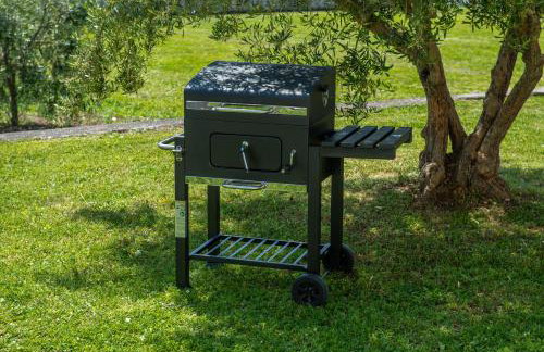 Vista OLIVO - Foto 25