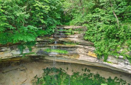 Pole Barn - Rustic 1BR Family Retreat with Open Views - Foto 64