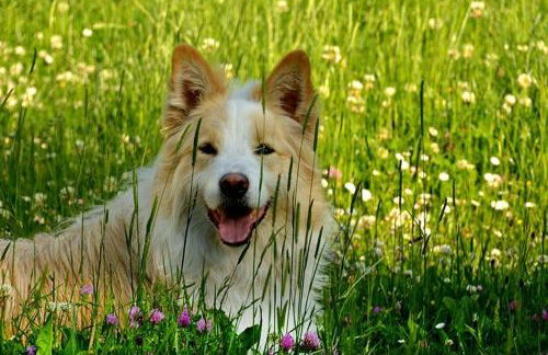 Casa Rural Lenco - Foto 65