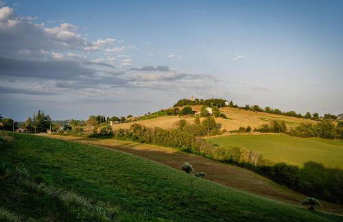 Colle Regnano - Foto 10
