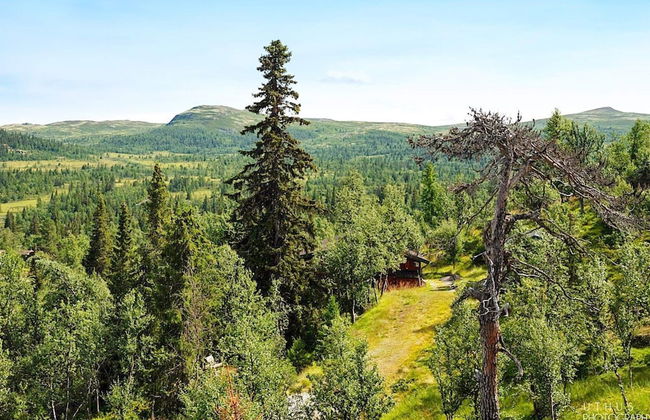 10 Person Holiday Home in Nesbyen-by Traum - Photo 13