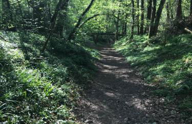 Shepherds Hut in the Hills - Nr. Mold - Foto 18
