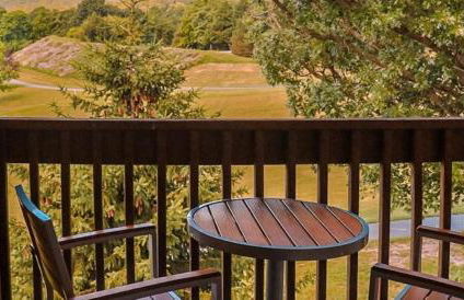 Massanutten Resort - Foto 36