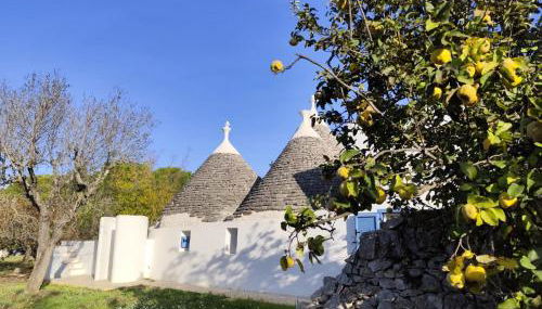 Trullollero UnPostoNelMondo - Foto 2, Garden, Garden view