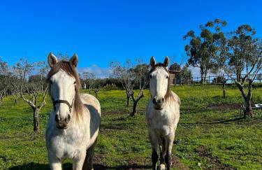 Herdade Terra rica - Photo 74