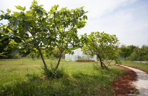 Apartments Gorančica - Foto 28