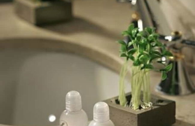 Condor Suites Apart Hotel - Photo 6