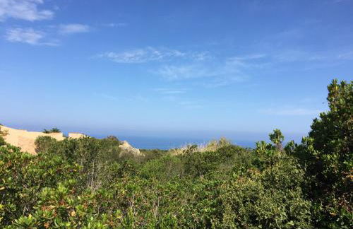 Costa Paradiso In Villa - Foto 42