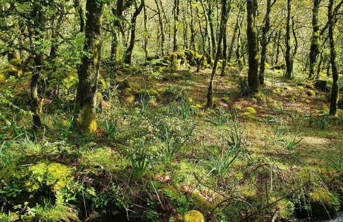 Azor International Apartment II - Foto 28