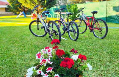 Elisabeth Luxury Villas - Foto 45