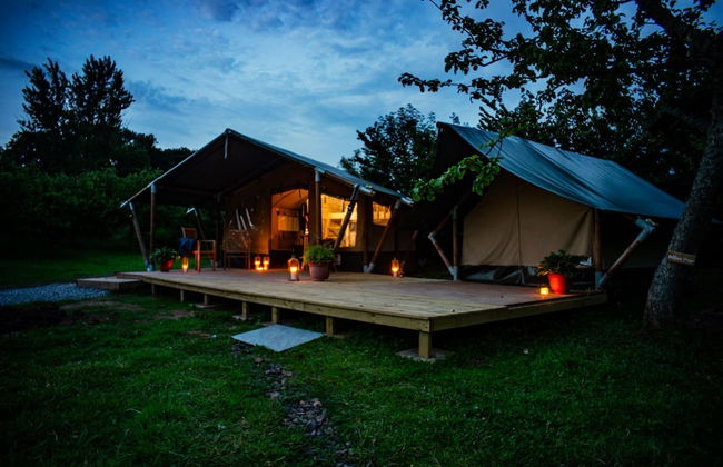 Torre Cider Farm - Foto 32