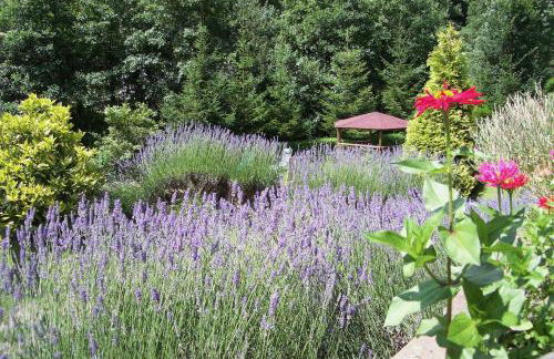 Corrada Torales - Foto 74