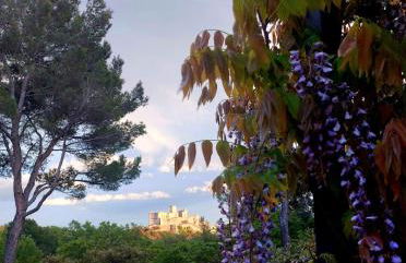 La maison du Barroux avec vue, calme et piscine - Foto 21