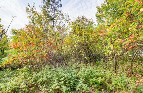 Fish, Hike and More Cozy Brainerd Cabin - Photo 28