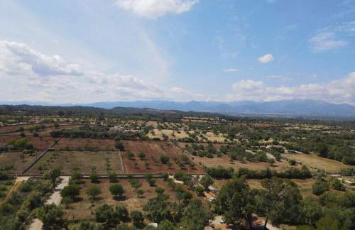 Finca Isabel y Guillermo con posibilidad de piscina climatizada - Foto 44