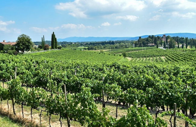 GOLDEN SPUR COTTAGE - Photo 15