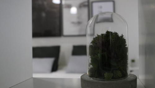 Meia Laranja - Foto 3