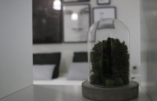 Meia Laranja - Foto 3