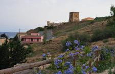 Passione Mare - Foto 8