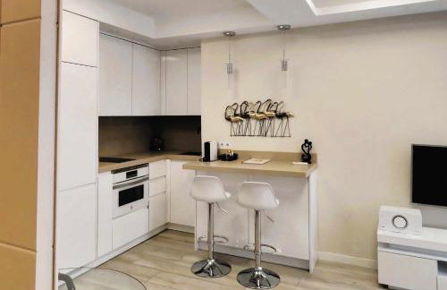 Apt. La Milla de Oro – Barrio Salamanca. Temporal - Foto 13