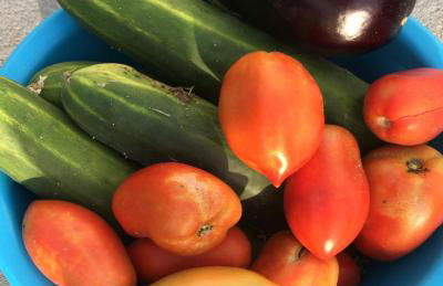 Casa dos chocalhos-Piscina-Perto Praia Fluvial-Vista incrível e sossego - Foto 25