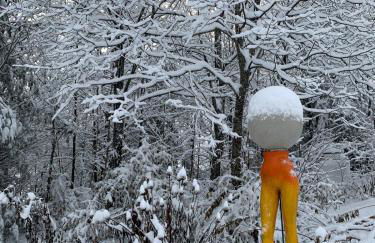 The Disco Den on Toad Road - Photo 22