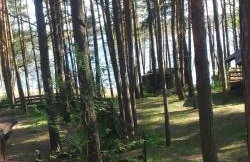 Domek w Ocyplu-Ocypelski Śpik ,Bory Tucholskie - Foto 13