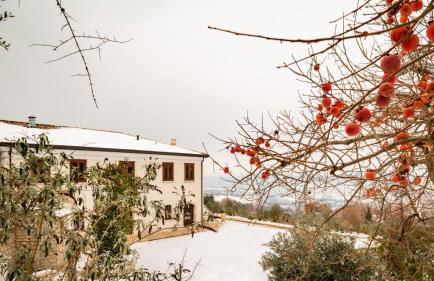 Il Mulino della Signora Luxury Country House - Foto 27