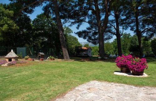 Apartman Roko - Photo 12