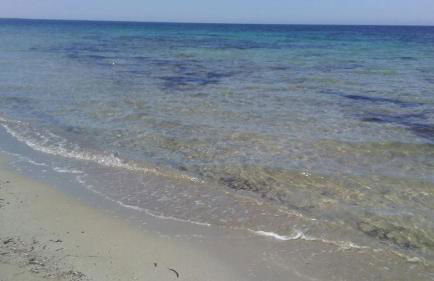 Villa Nello - Foto 20