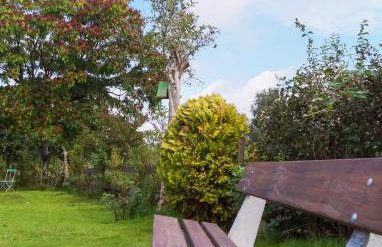 Ferien unnern Appelboom (80m2 Wohnung mit großem Garten) - Foto 32