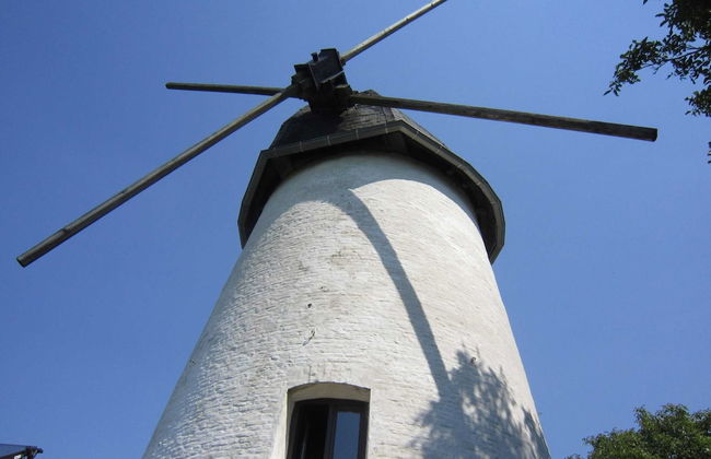 Cozy Holiday Home in Horebeke near Meadow - Photo 23