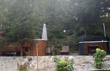 Chatka w Beskidzie Niskim - Foto 4