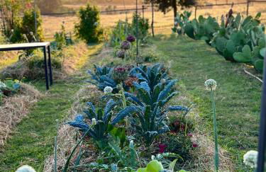 Tenuta Di Paternostro - Foto 28