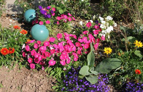 Walwyn Court Barns - Foto 18