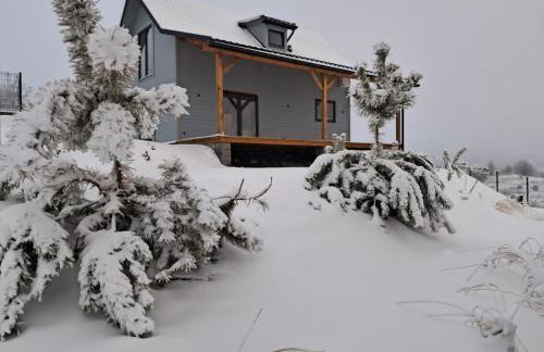 Górska Przystań Sierpnica dom Mała Sówka - Foto 14